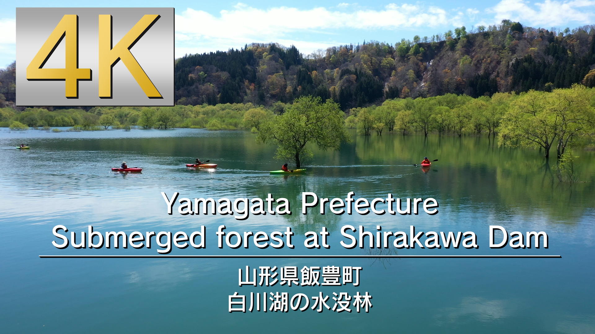 新作からsaleアイテム等お得な商品満載 Maspro マスプロ電工 Cs45sp2 スカパープレミアムサービス用ｃｓアンテナ Cs45sp2 Www Fnj Org Ec